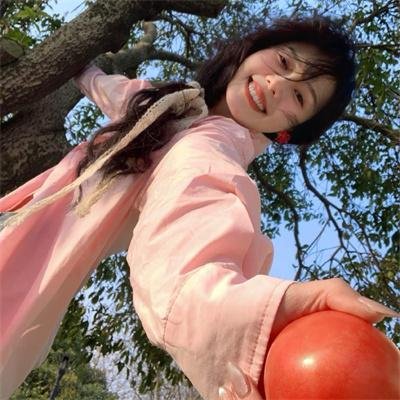 忍冬玫瑰